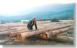 worker-logs-thumb.jpg - 5823 Bytes
